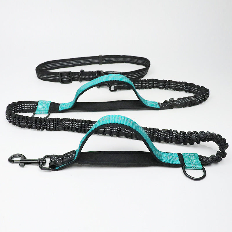 Reflective Double Elastic Dog Leash For Running And Training