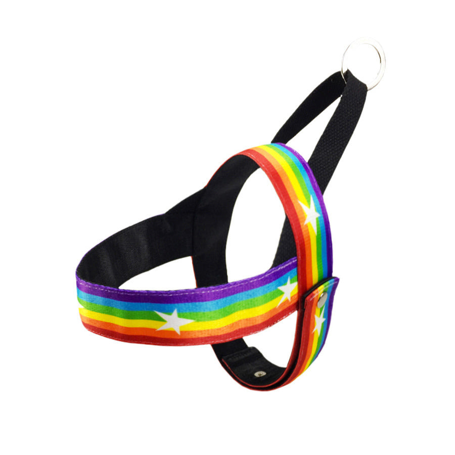 Rainbow Dog Chain Leash For Stylish Outdoor Walks