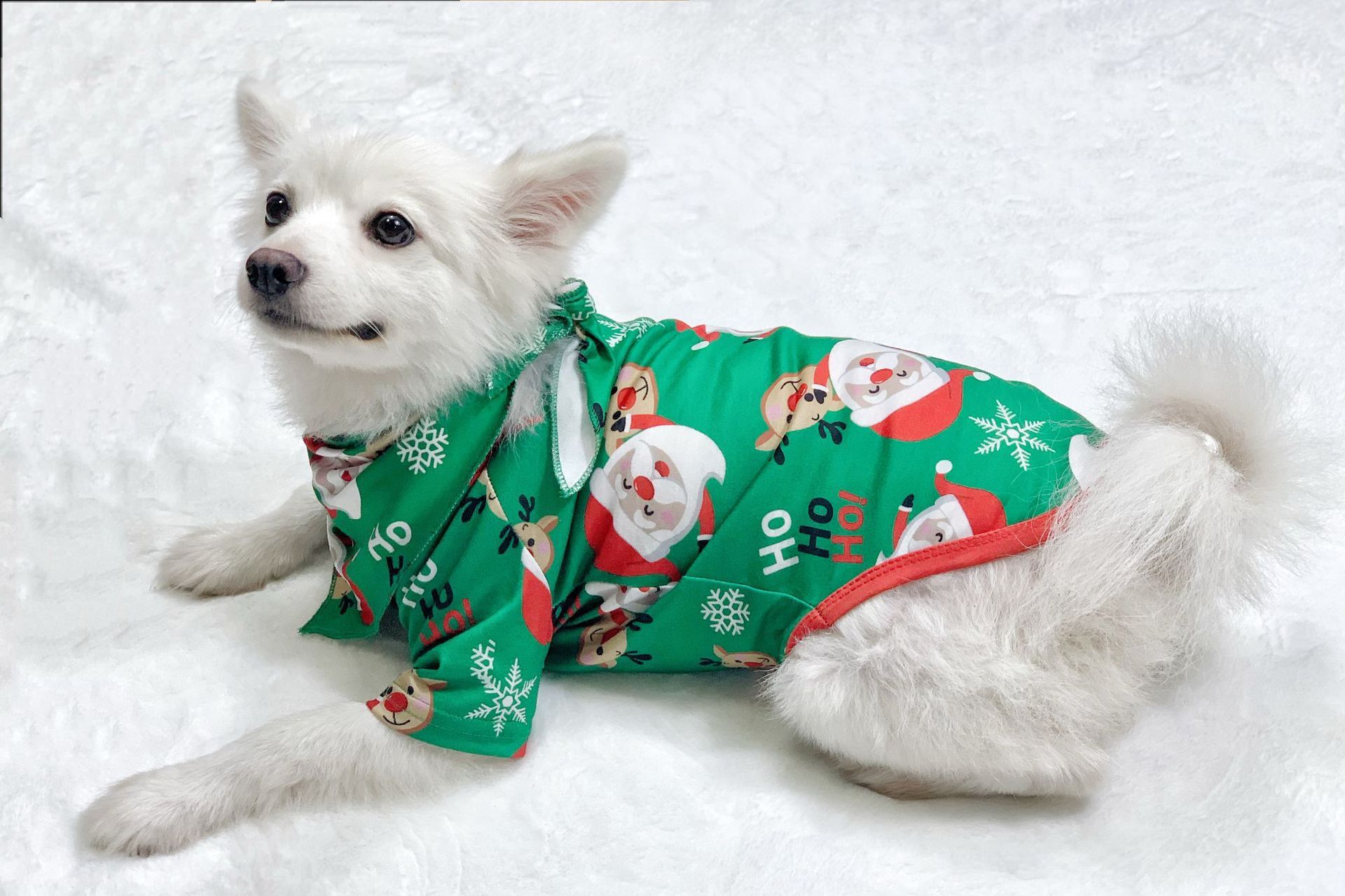 Ho Ho Ho Green and Red Matching Family Christmas Pajama Set