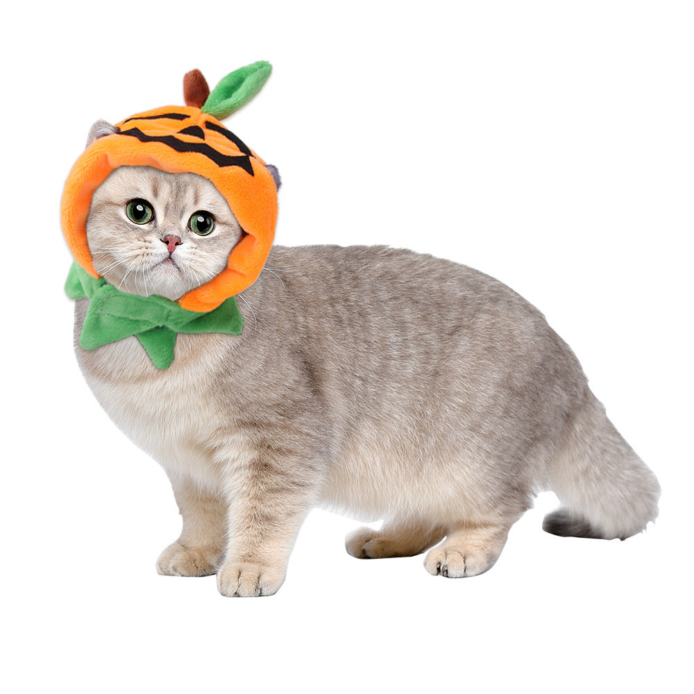 Schattig pompoen Jack-O-Lantern Pet Halloween-kostuum