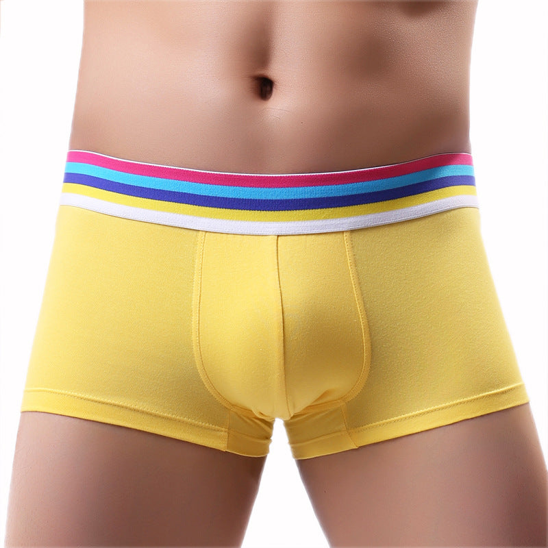 Cozy Casual Brief Underwear