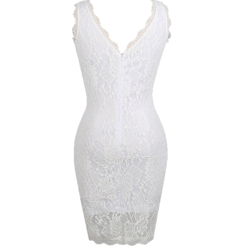 Embroidered Lace Sleeveless Sheath Dress