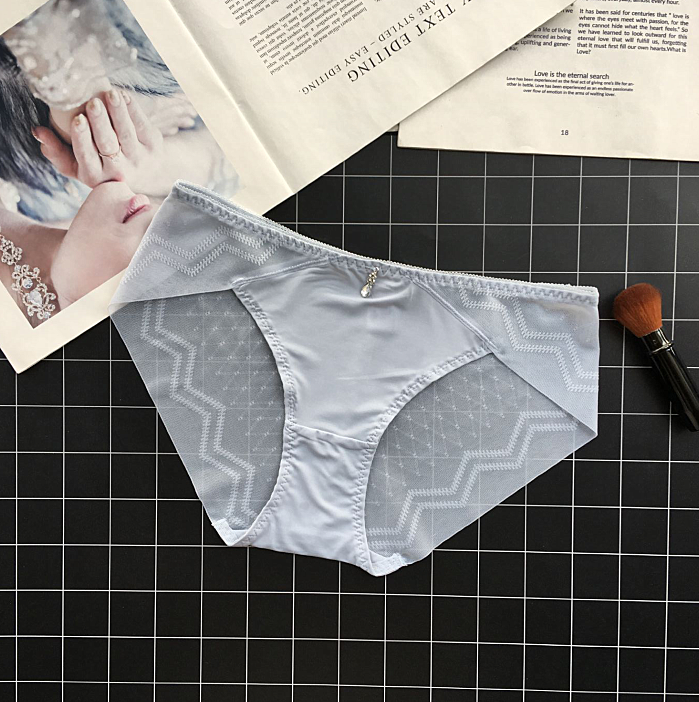 Classici brief setosi con retro semi trasparente