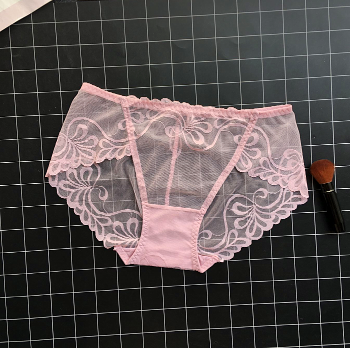 See Through Lace Panties with Low Waisted Design-Pink-Theone Apparel